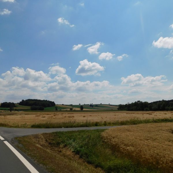 DSCN0902