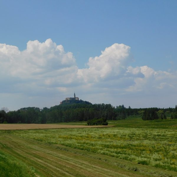 DSCN0960