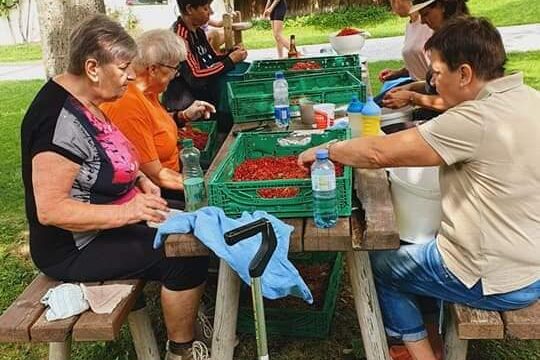 239732708_359758609032221_2130628388443610827_n