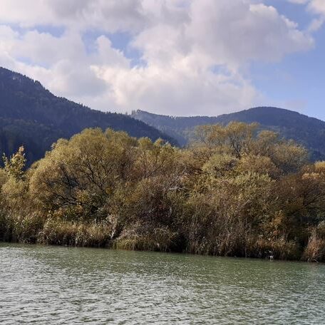 Natur