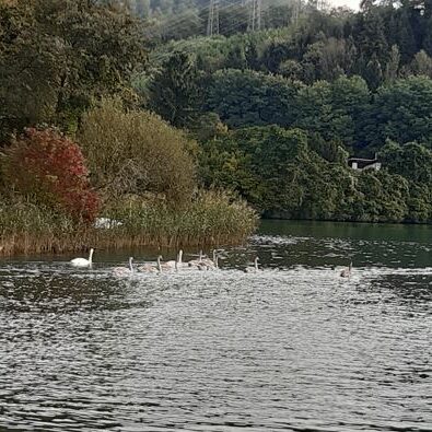 Natur2